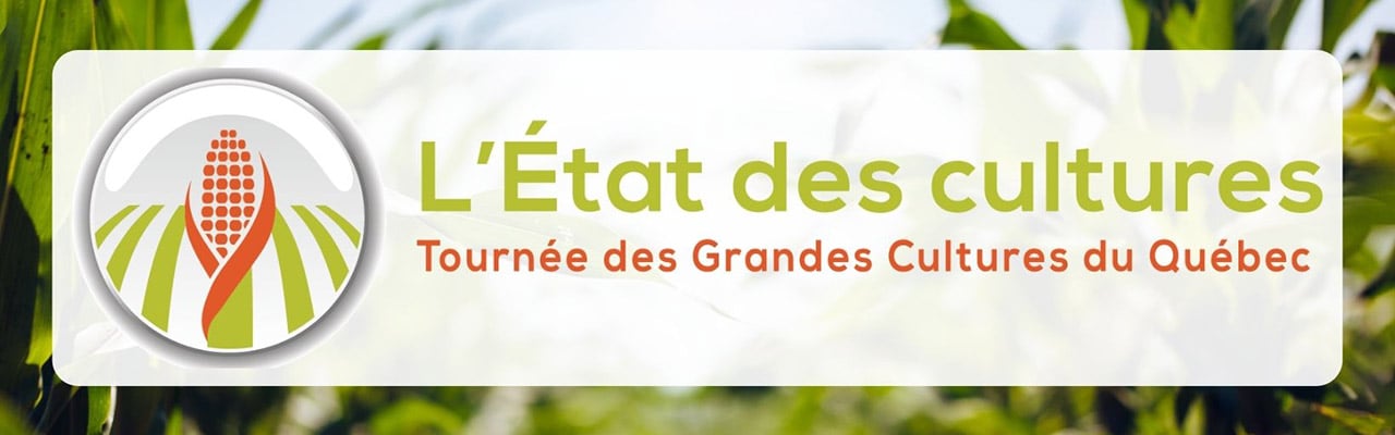 État des Cultures