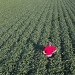 Une nouvelle loi pour lutter contre les changements climatiques